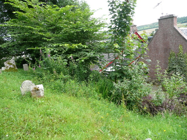 P1020715.jpg