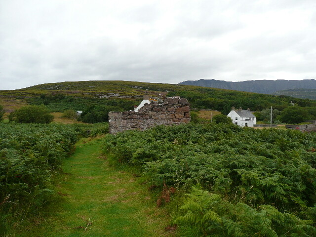 P1040549.jpg