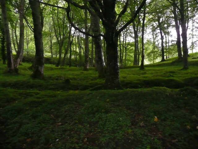 P1020876.jpg