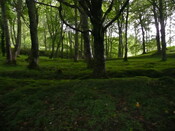 P1020876.jpg