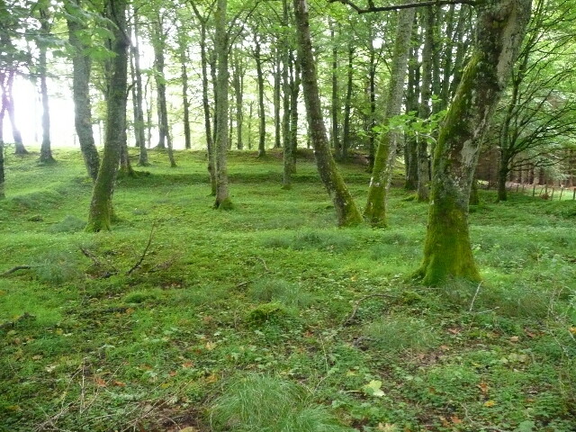 P1020885.jpg