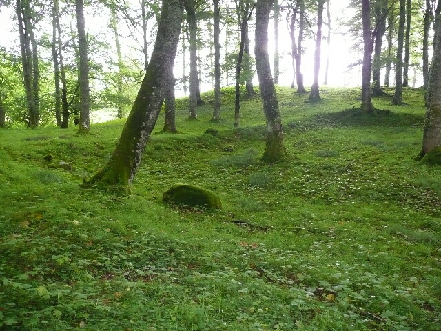 P1020886.jpg