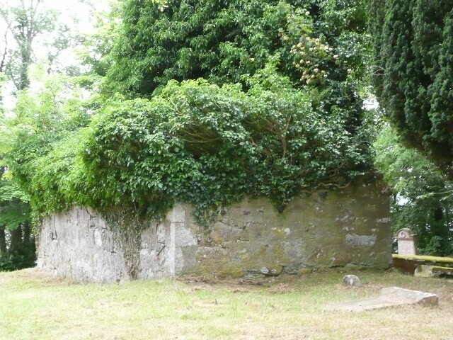 P1010593.jpg