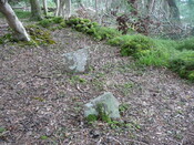 P1050660.jpg