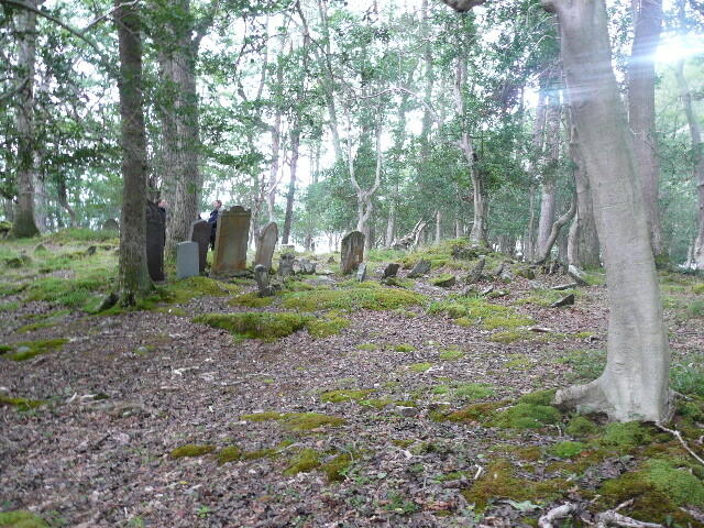 P1050662.jpg