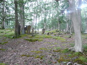P1050662.jpg