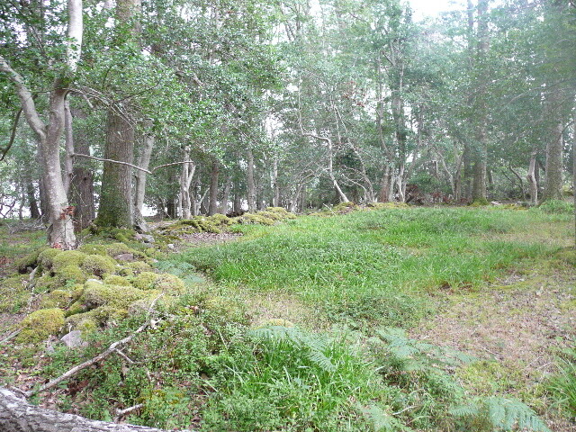 P1050684.jpg
