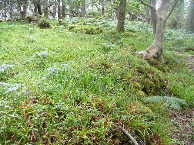 P1050686.jpg