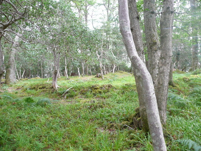 P1050689.jpg