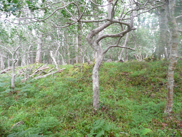 P1050693.jpg