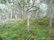 P1050693.jpg