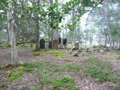 P1050714.jpg
