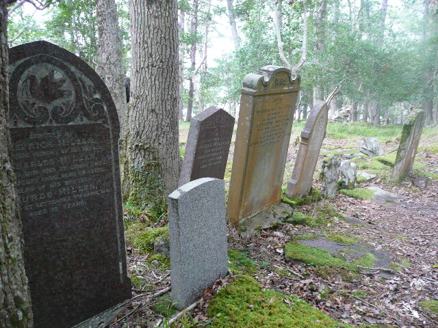 P1050724.jpg