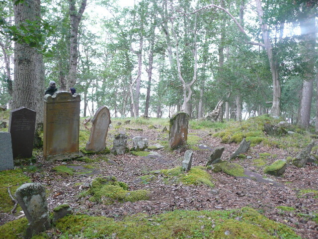 P1050728.jpg