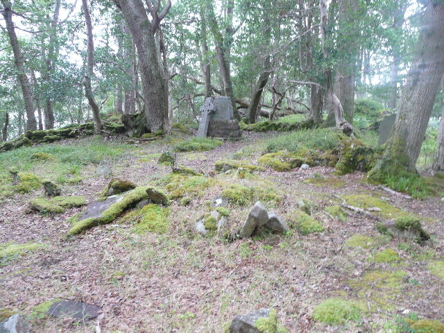 P1050732.jpg