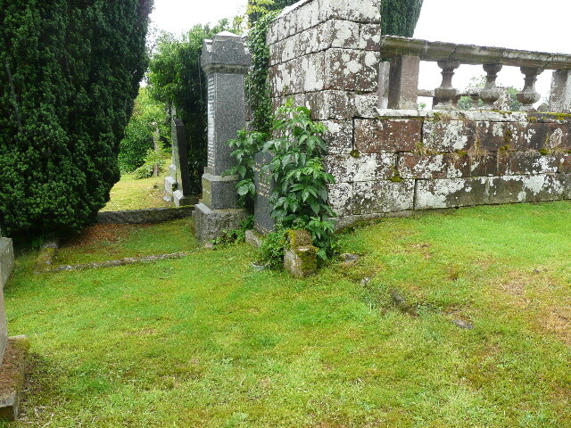 P1020307.jpg