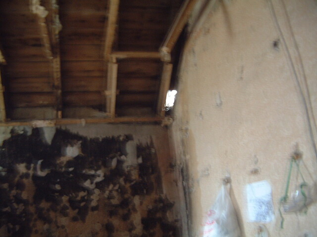 DSCF0031.JPG