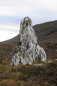 fionn stone MHG7946 (looking S).jpg