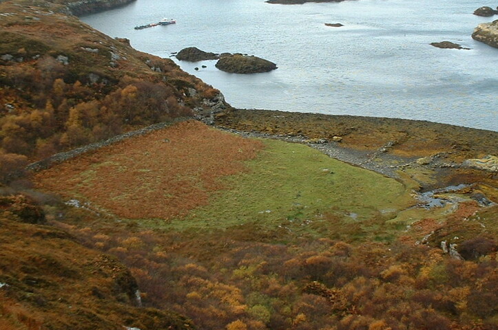 Ardore wall & slips.JPG