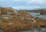 Ardroe - cover.JPG