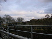Sites 105.jpg