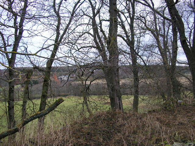 Sites 107.jpg