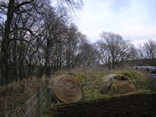 Sites 108.jpg