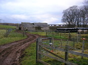 Sites 110.jpg
