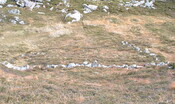 Ardroe - enclosure.JPG