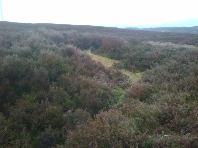 IMG00014-20110214-1213.jpg