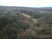 IMG00014-20110214-1213.jpg