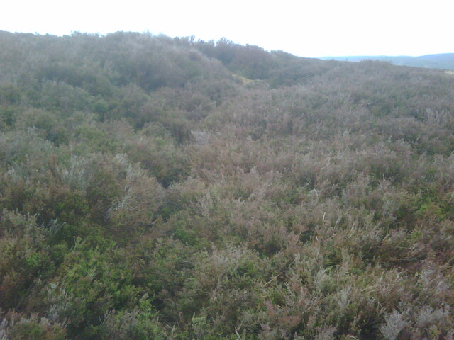 IMG00016-20110214-1214.jpg