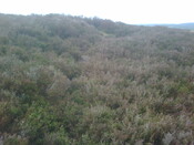 IMG00016-20110214-1214.jpg