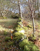 Ardroe - walling.JPG