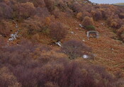 Ardroe house site by wreck.JPG