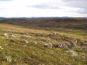 braegrudue enclosure from NW.jpg