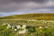 Braegrudie Enclosure & Circle.jpg