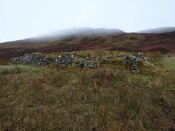xmas 2010 and jan feb 2011 246.JPG