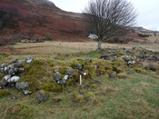 xmas 2010 and jan feb 2011 254.JPG
