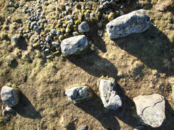 Aerial.jpg