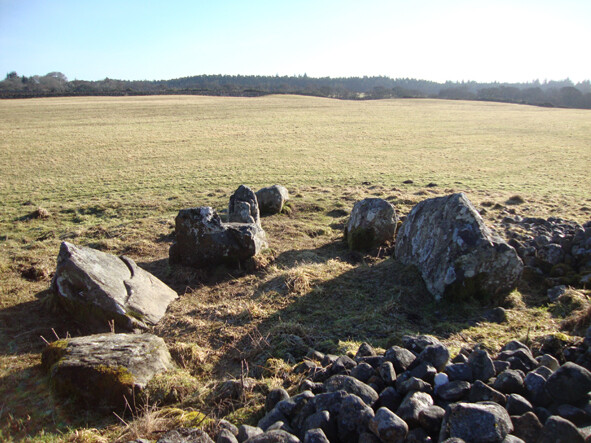 From NW.jpg