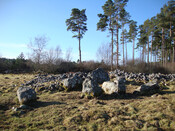 From the NE.jpg