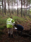 3070 101130 Beauly Substation Evaluation Phase 2 Plate 1.JPG