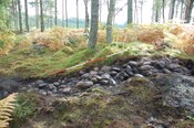3070 101130 Beauly Substation Evaluation Phase 2 Plate 3.JPG