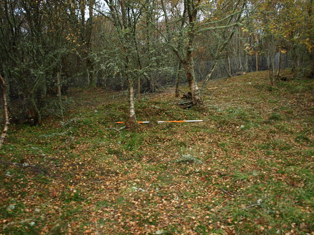 SHG25060_4.JPG