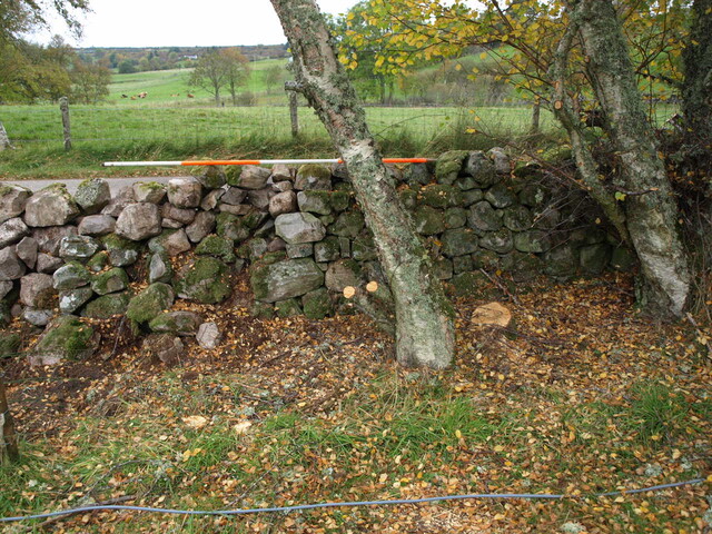 SHG25060_10.JPG