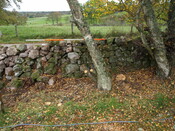 SHG25060_10.JPG