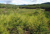 SHG25228_12.jpg