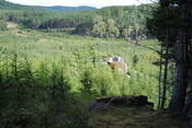 SHG25228_13.jpg