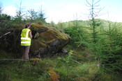 SHG25228_14.jpg